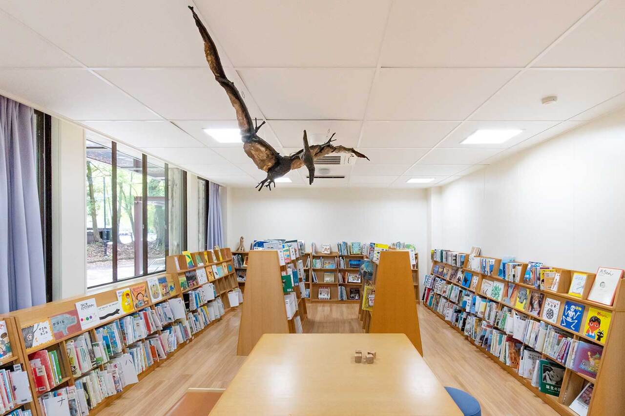 写真:本棚の上にプテラノドンの模型が飛んでいます。