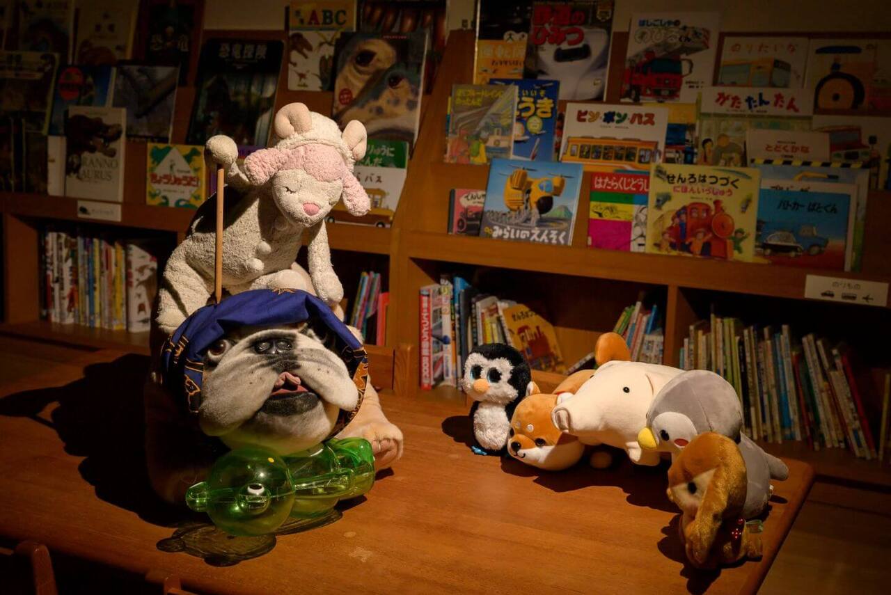 写真：複数のぬいぐるみが暗い図書館で集まっています
