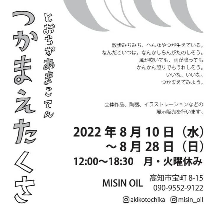 画像：つかまえたくさチラシ裏面です
