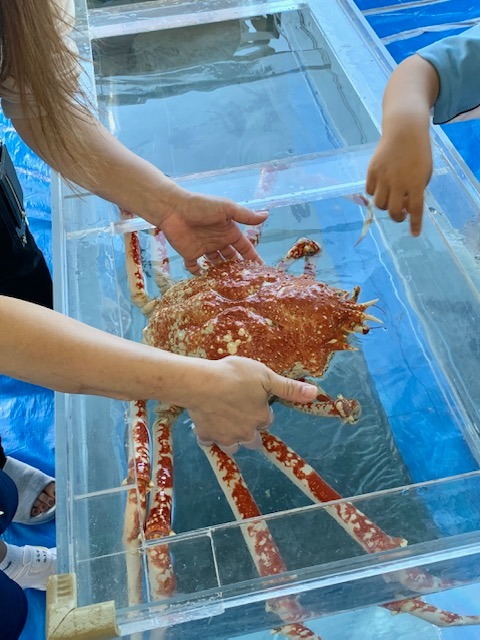 写真：大きなカニがを手で持っています。