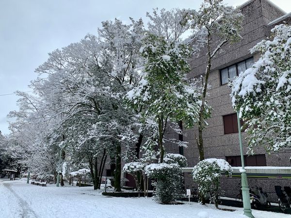 写真：雪景色の高知県立文学館です。