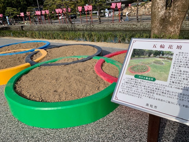写真：五輪花壇です。