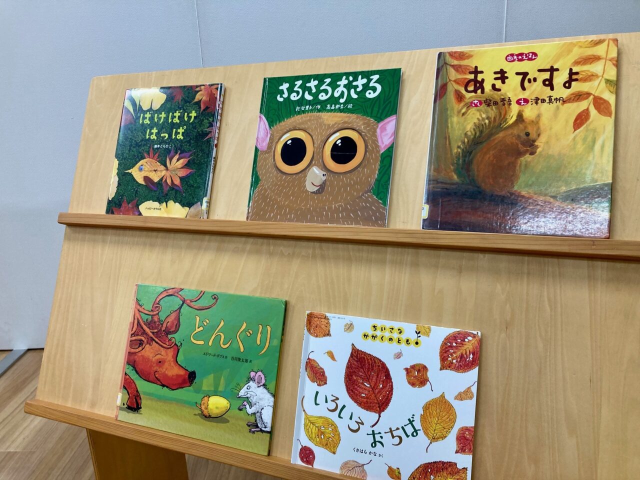 写真：木の実や落ち葉に関する絵本です。