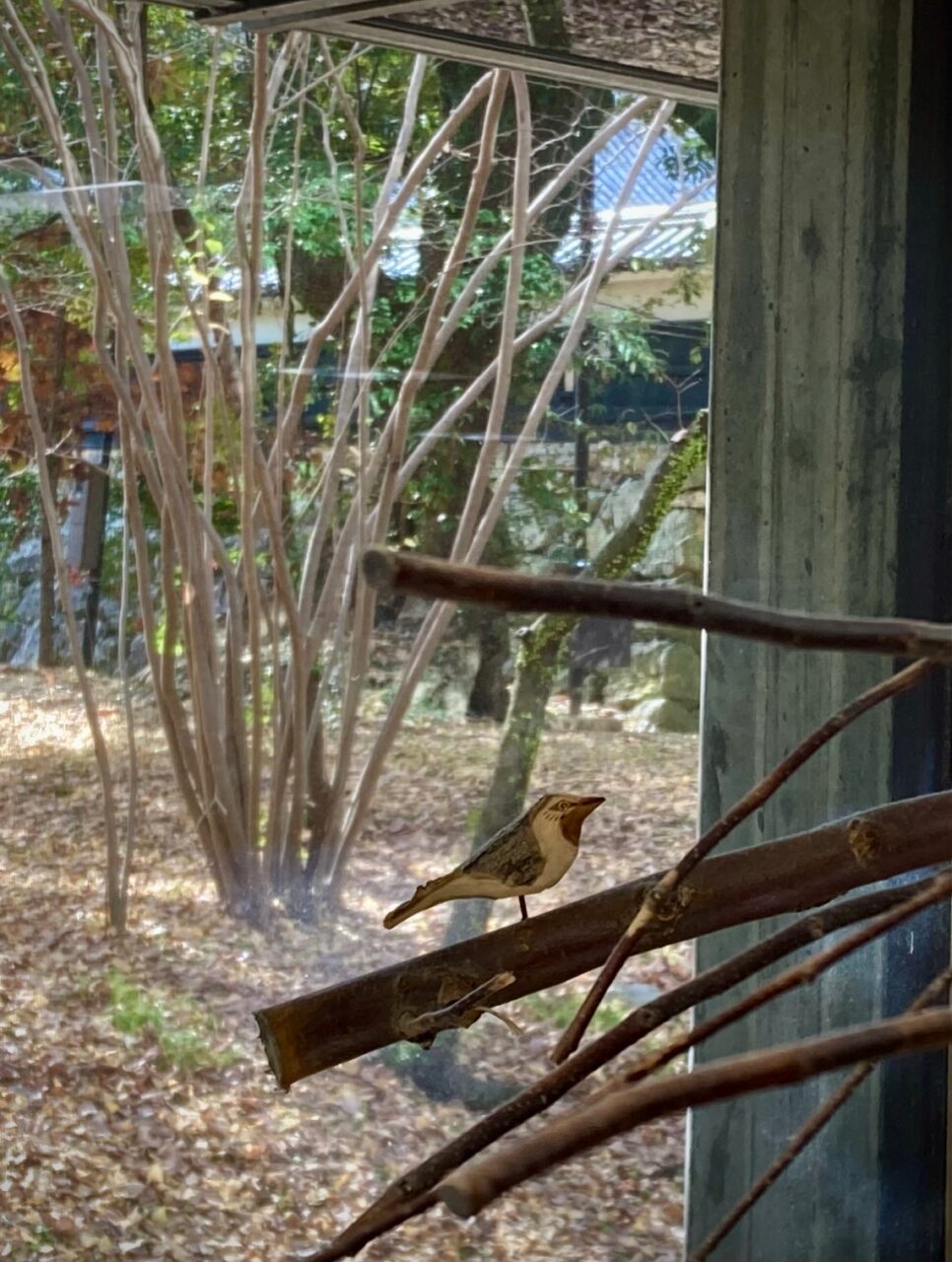 写真：館内の窓際に木でできた鳥が止まっています。