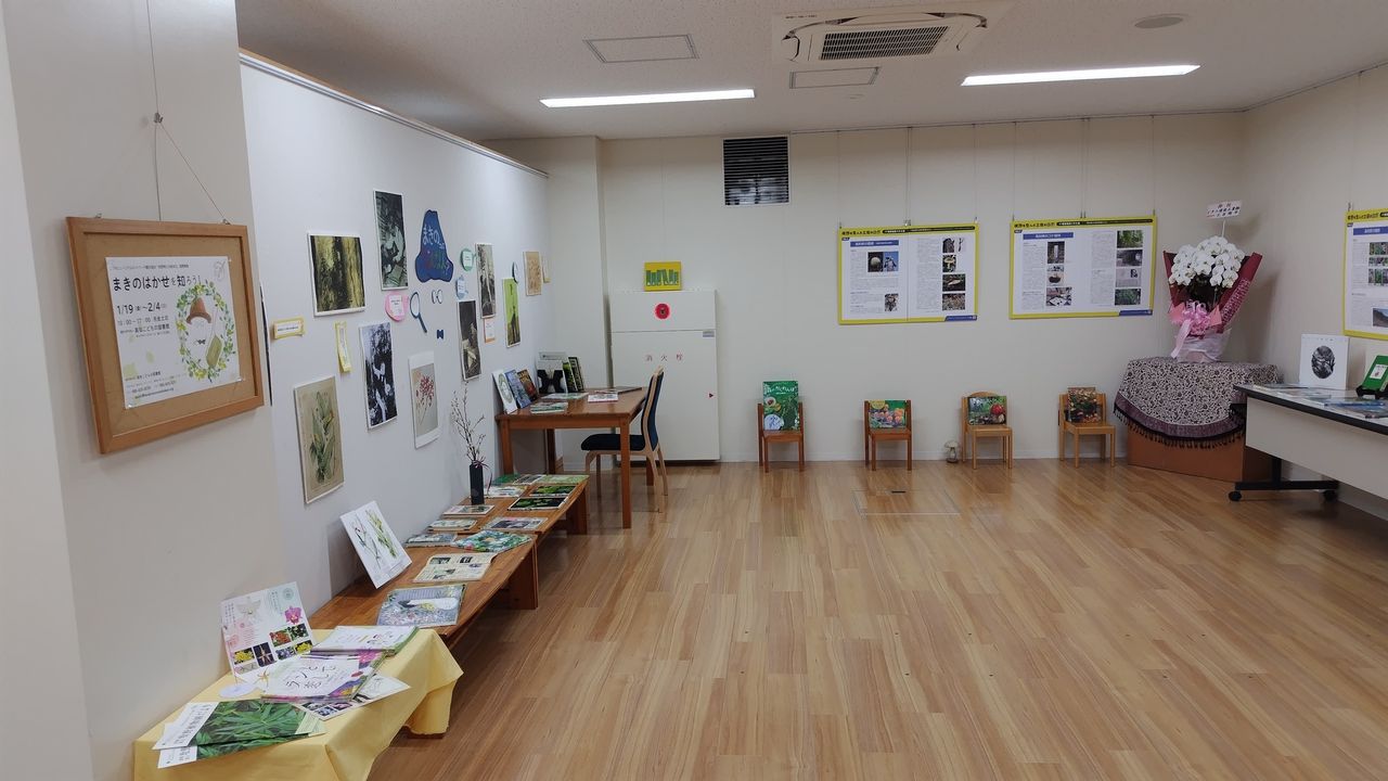 写真：牧野富太郎に関するパネルが展示されています。