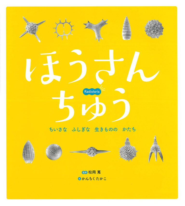 黄色の表紙に１０個のいろいろな形のほうさんちゅうが上下に並んでいる画像
