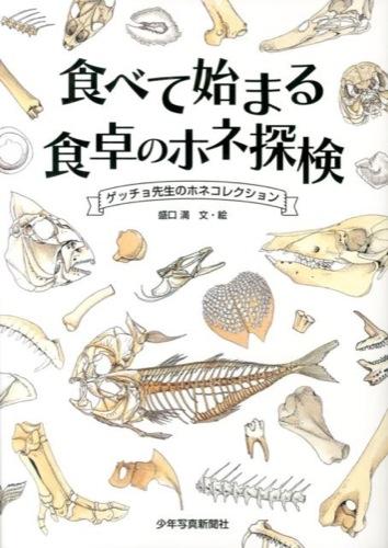 魚の骨の絵の表紙
