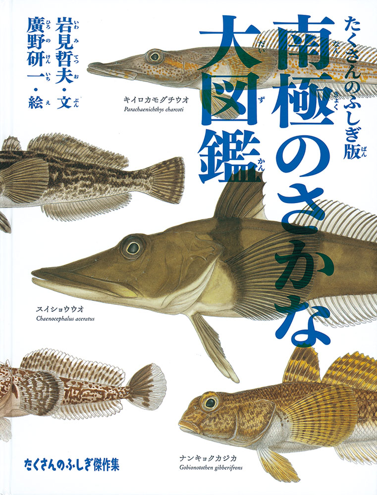 イラスト：南極の魚が横向きに並んでいます