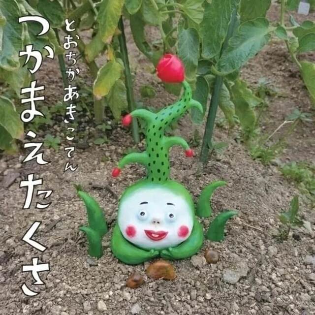 写真：つかまえたくさチラシ表面です