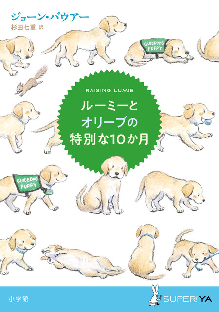 写真：小さな子犬がいろいろなポーズで並んでいます。