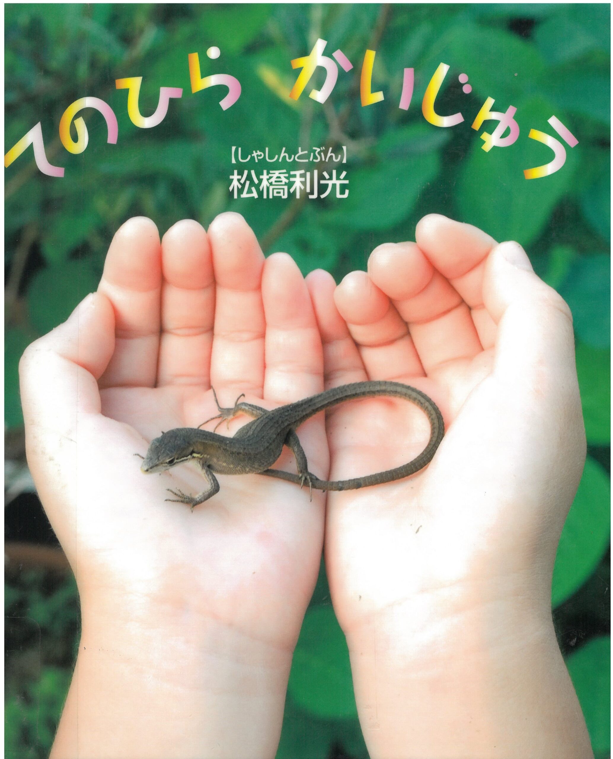 こどものてのひらにトカゲが乗っている写真