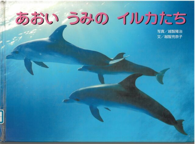 海の中を泳ぐ3頭のイルカ写真