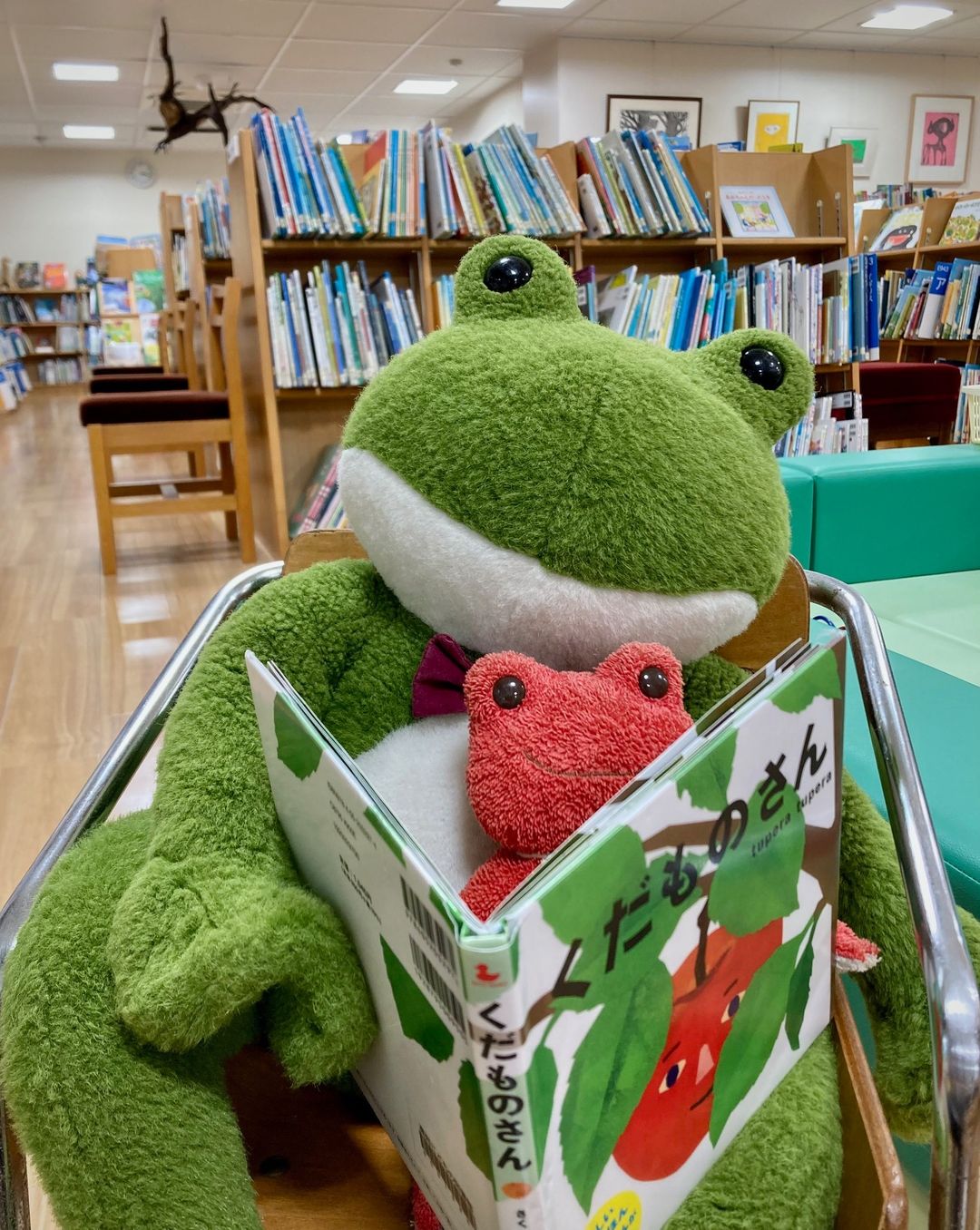 写真：みどりのかえると垢のかえるのぬいぐるみが絵本を読んでいます。